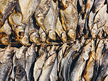 Dried Fish